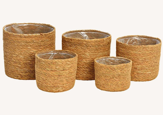 Blumentopf Set 5er Seegras Boho